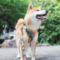 Soft No Pull Neoprene Dog Harness Personalized Harness